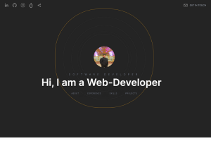 My Portfolio